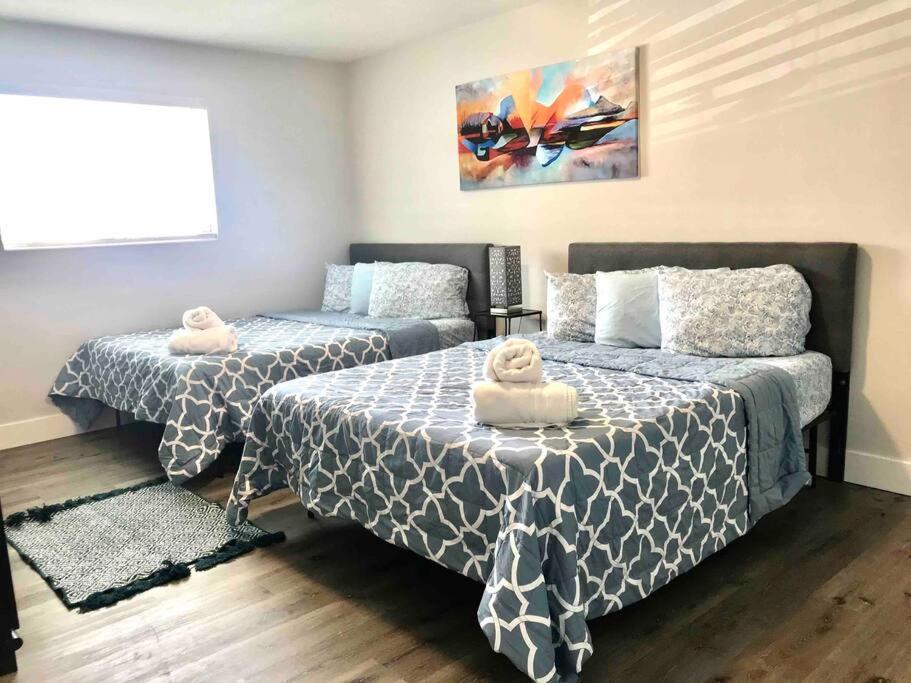 Solymar II Miami Beach House Dış mekan fotoğraf